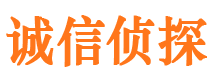 爱辉市私家侦探